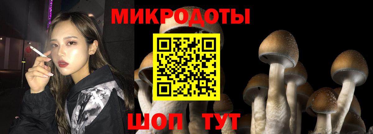 Галлюциногенные грибы MAGIC MUSHROOMS  Галлюциногенные грибы GOLDEN TEACHER  Учалы  Вход с VPN 